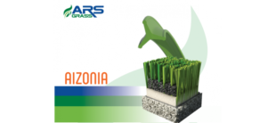 Aizonia Turf