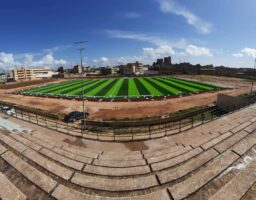 Artificial Grass