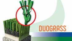 Duograss