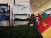 Kamerun Fuarındayız